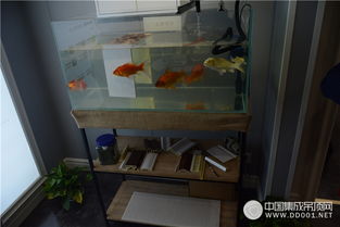 帝王至尊工厂行圆满落幕 匠心设计，缔造完美“心·品”体验